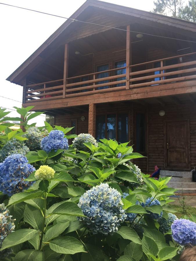Green Cottage Shekvetili Ureki Exterior foto